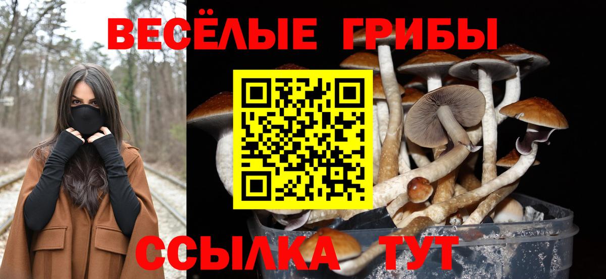 Изобильный  Галлюциногенные грибы MAGIC MUSHROOMS  Вход с VPN 