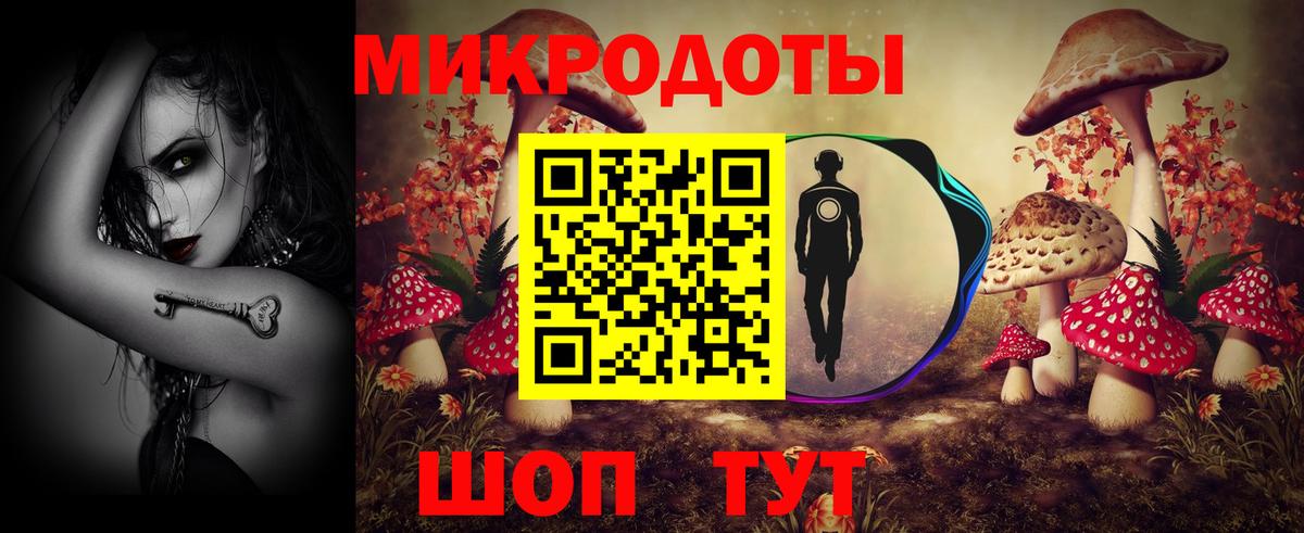 Галлюциногенные грибы прущие грибы Изобильный